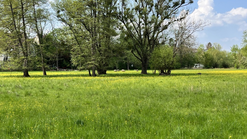 22-05-02 13-34-24 0725.jpg